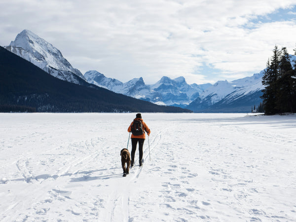 Why You Should Travel with Your Dog: A Complete Guide for Pet-Friendly Adventures