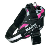 Reflective Dog Leash & Harness – Customizable with Your Dog’s Name & Info (Print on Demand)