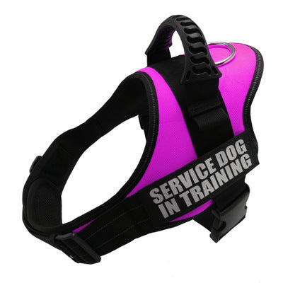 Reflective Dog Leash & Harness – Customizable with Your Dog’s Name & Info (Print on Demand)