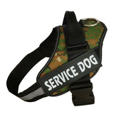 Reflective Dog Leash & Harness – Customizable with Your Dog’s Name & Info (Print on Demand)