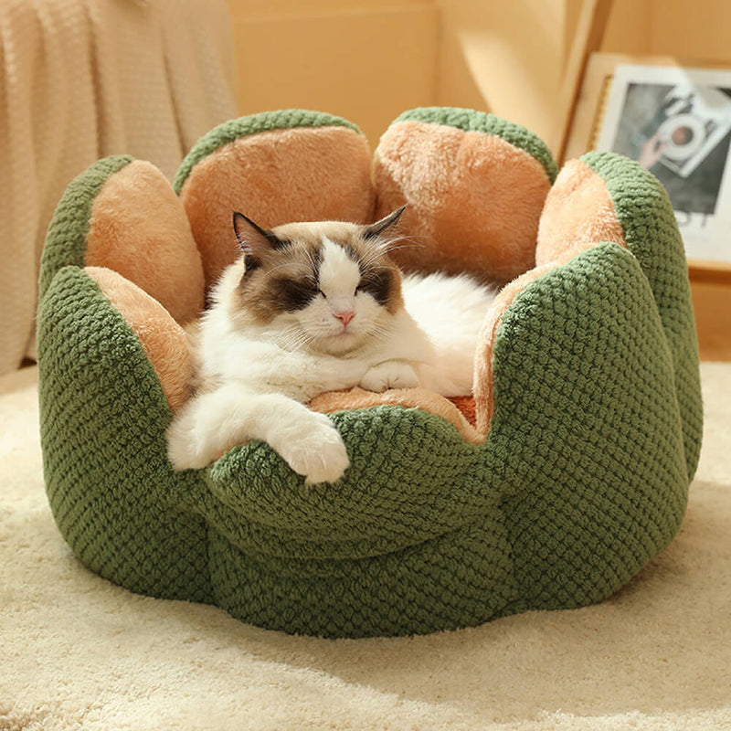 Cactus Shape Comfy Pet Bed 