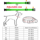 Electronic Pet LED Dog Collar Adjustable Flash Recharge Pet Collars Reflective LED Collars for Dogs Night Anti-Lost Dog Products