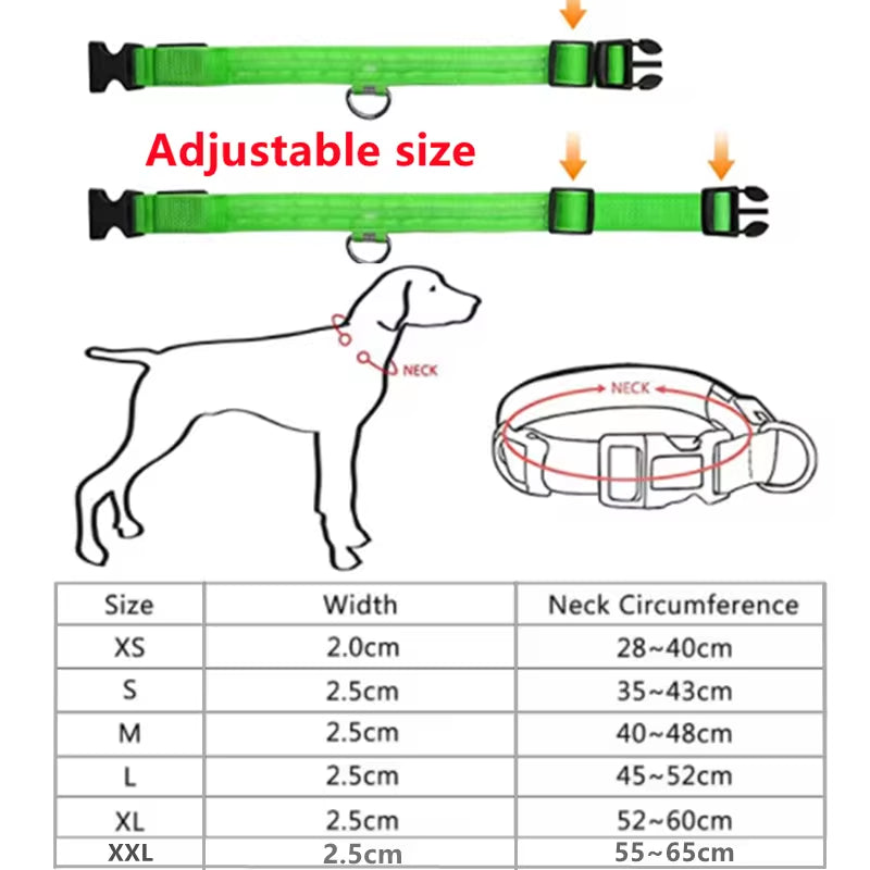 Electronic Pet LED Dog Collar Adjustable Flash Recharge Pet Collars Reflective LED Collars for Dogs Night Anti-Lost Dog Products