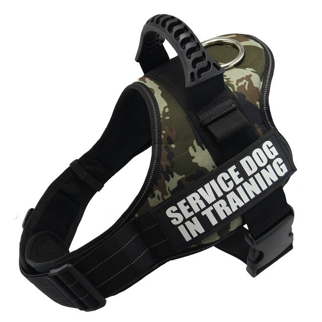 Reflective Dog Leash & Harness – Customizable with Your Dog’s Name & Info (Print on Demand)