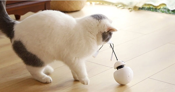 3-in-1 Multifunctional Robot Tumbler – 360° Automatic Rotating Cat Toy