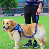 Saddle Chest Strap Dog Leash