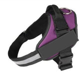 Reflective Dog Leash & Harness – Customizable with Your Dog’s Name & Info (Print on Demand)