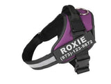 Reflective Dog Leash & Harness – Customizable with Your Dog’s Name & Info (Print on Demand)