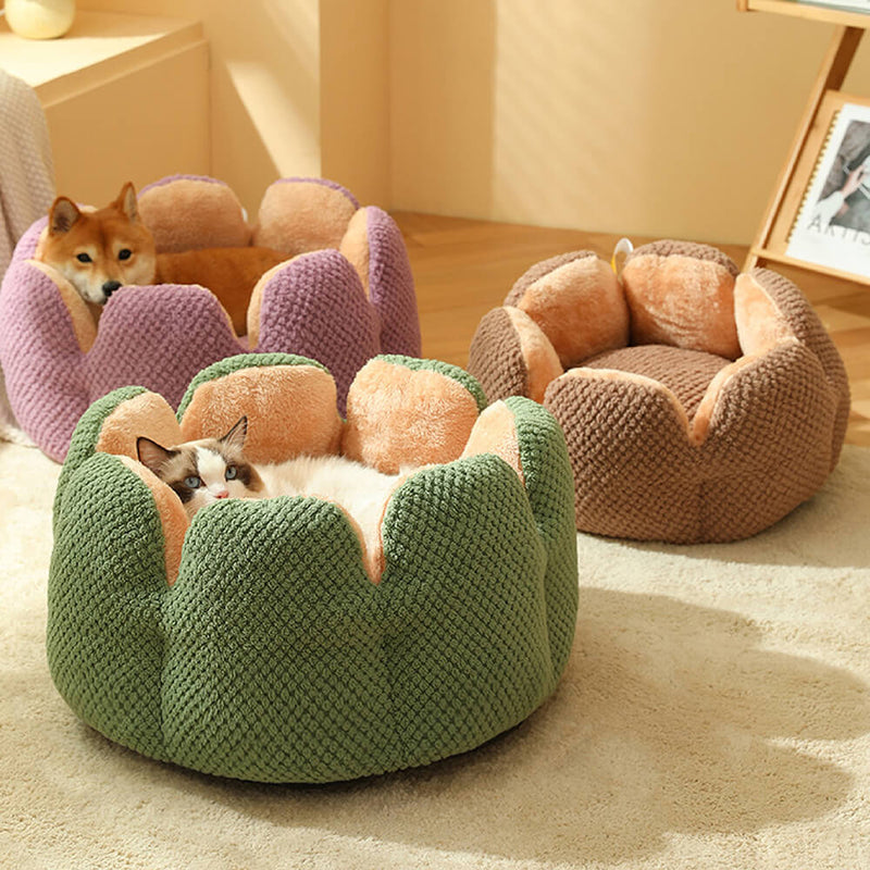 Cactus Shape Comfy Pet Bed 