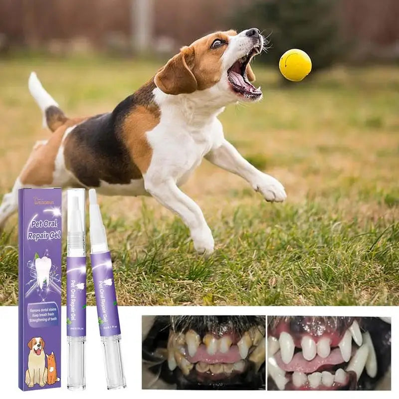 Pet Oral Repair Gel – Natural Teeth Cleaning & Breath Freshener for Dogs & Cats