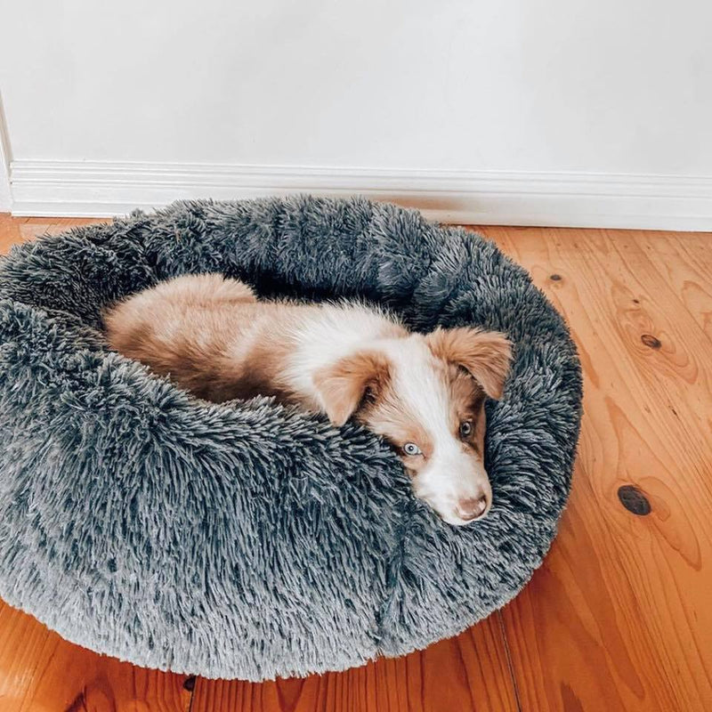 Super Soft Donut Pet Bed