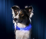 Rechargeable LED Dog Collar