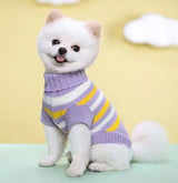 Striped Floral Pet Sweater