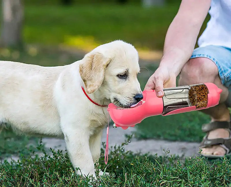 3-in-1 Portable Pet Feeder