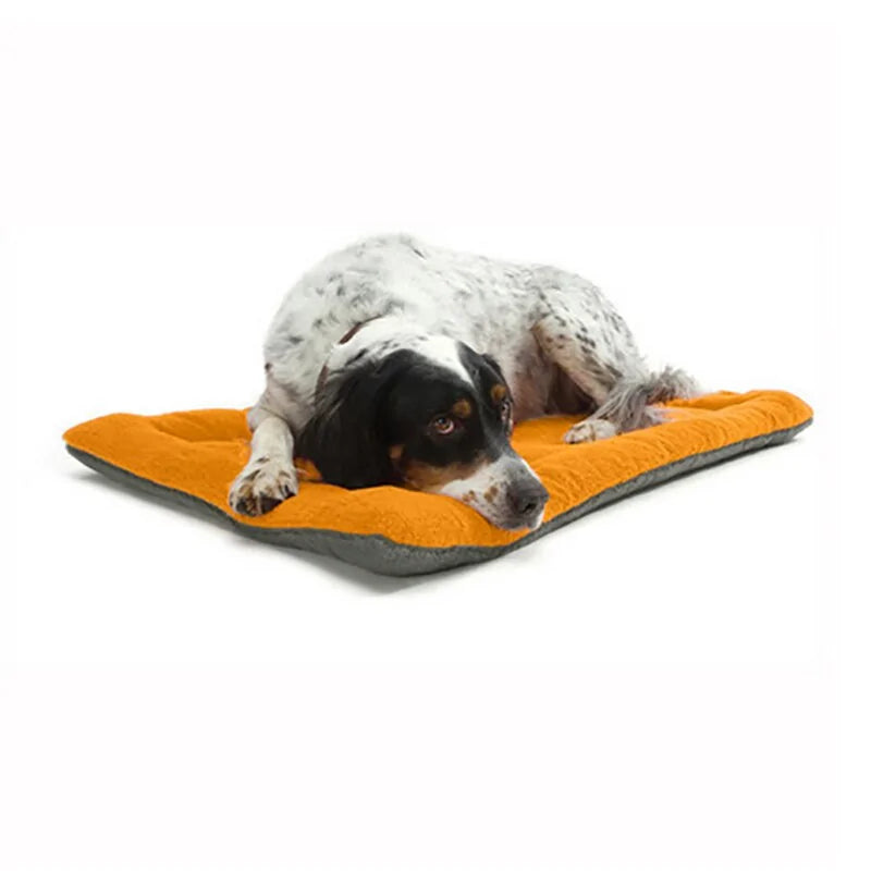 Plush Sofa Pet Cushion Bed – Ultimate Comfort for Your Furry Friend