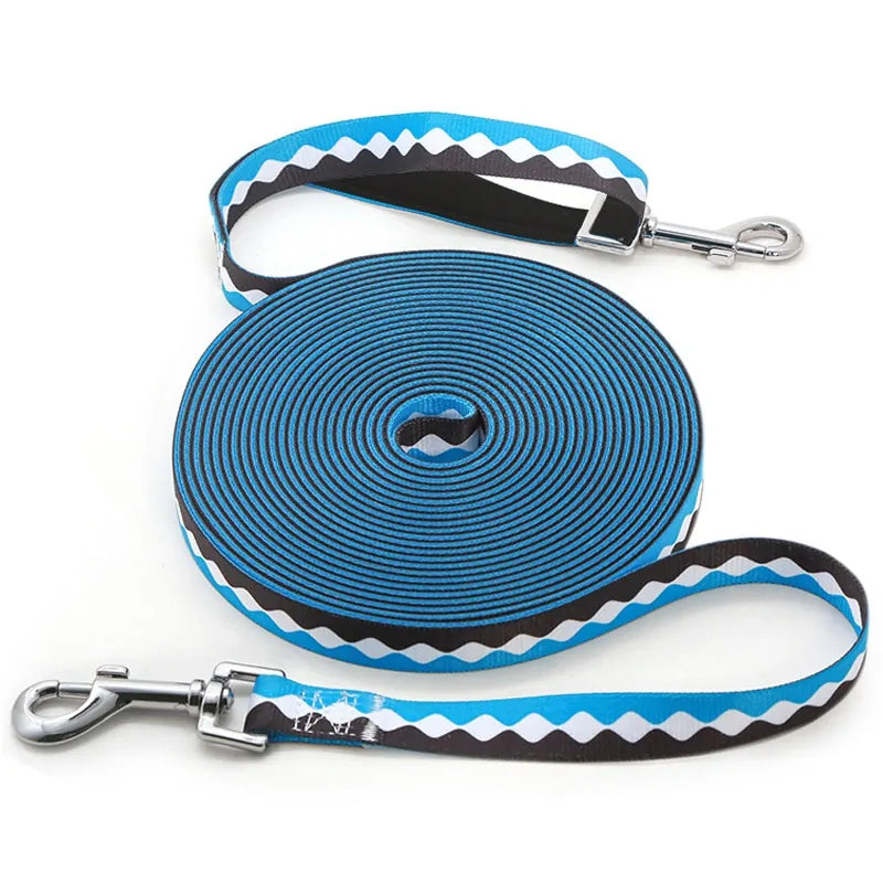 Explorer Pro Dog Leash