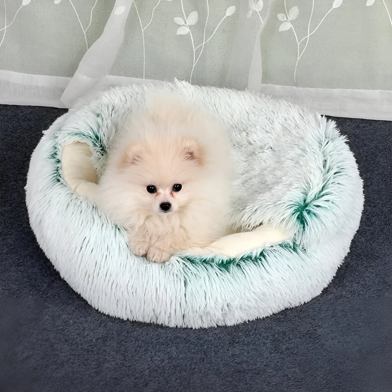 Pet Comfortable Plush Bed