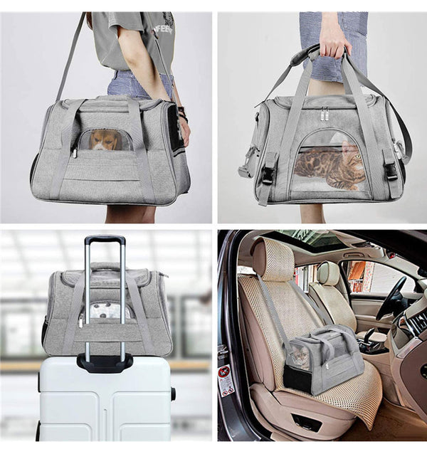 Airline-Approved Pet Carrier Backpack