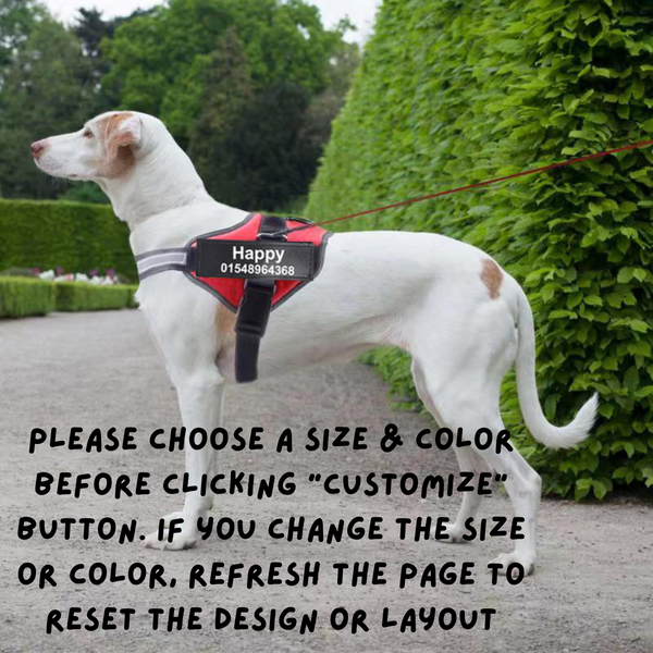 Reflective Dog Leash & Harness – Customizable with Your Dog’s Name & Info (Print on Demand)