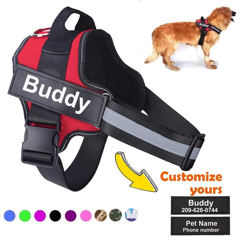 Reflective Dog Leash & Harness – Customizable with Your Dog’s Name & Info (Print on Demand)