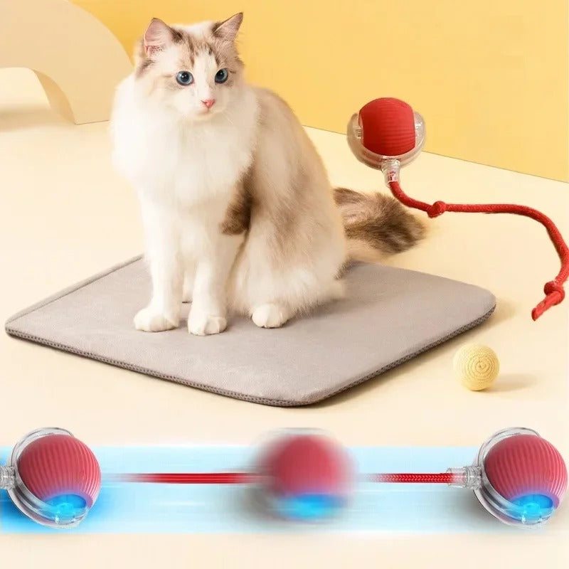 Cat sitting beside PawActivate Smart Play Ball with moving mechanism, showcasing pet engagement and interactive play features.