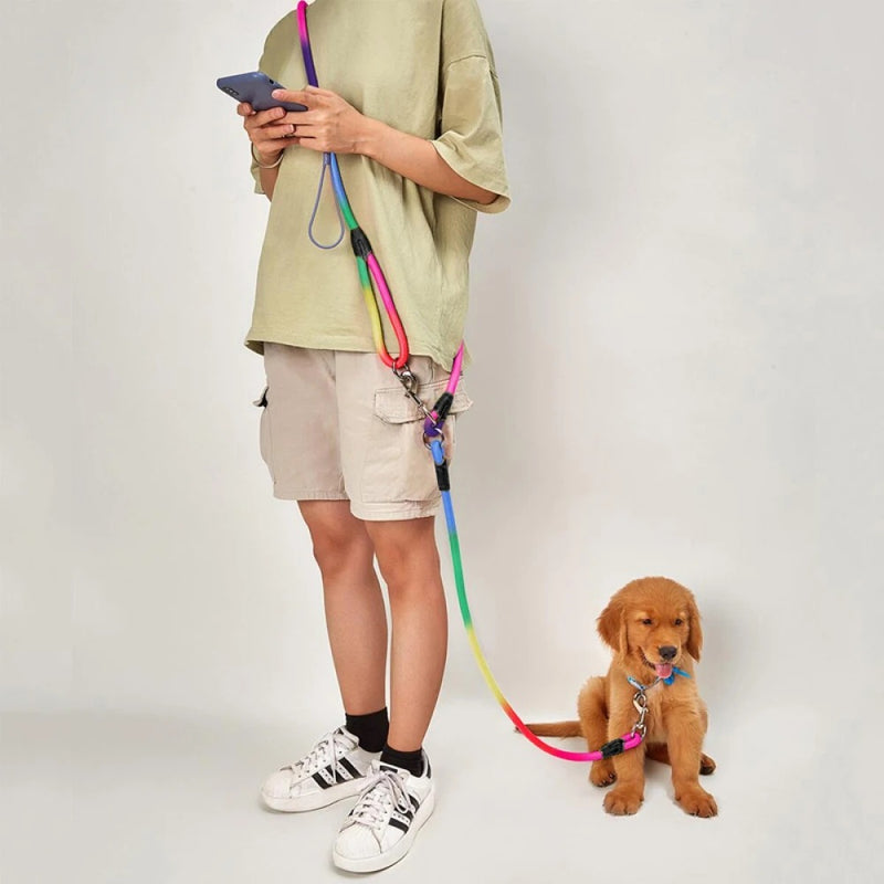 Magic Leash – Hands-Free Dog Walking Made Easy