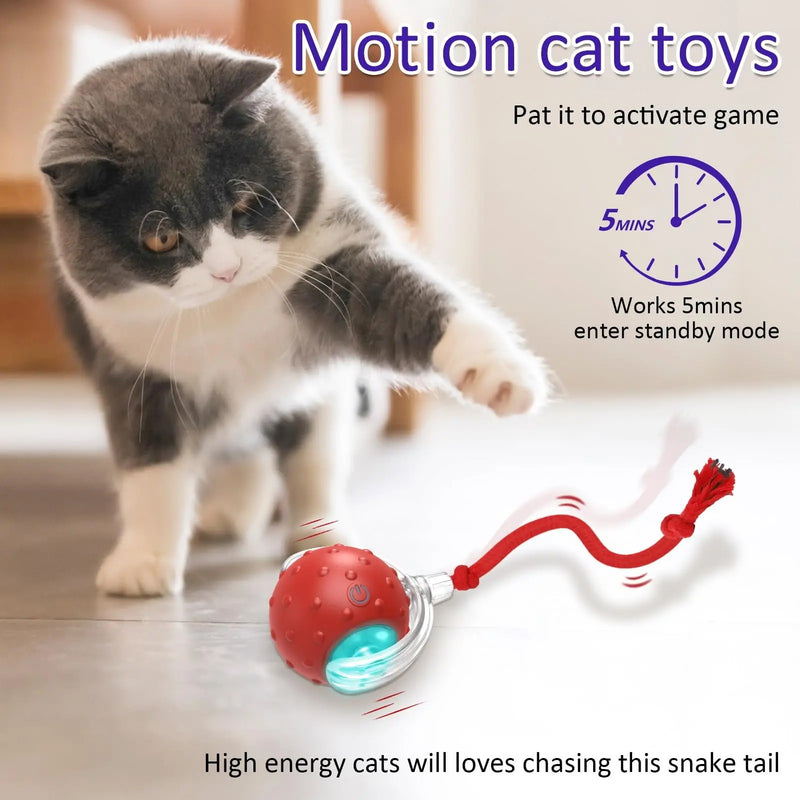 Cat playing with smart motion toy ball, designed for interactive engagement and exercise, featuring auto-rolling function.