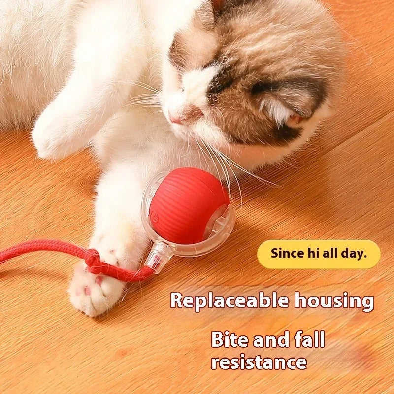 Cat playing with red interactive toy ball showcasing replaceable housing and bite resistance features.