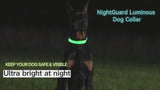 Rechargeable LED Dog Collar