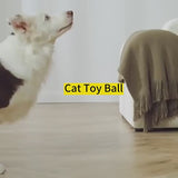 Smart Electronic Interactive Dog Toy Ball