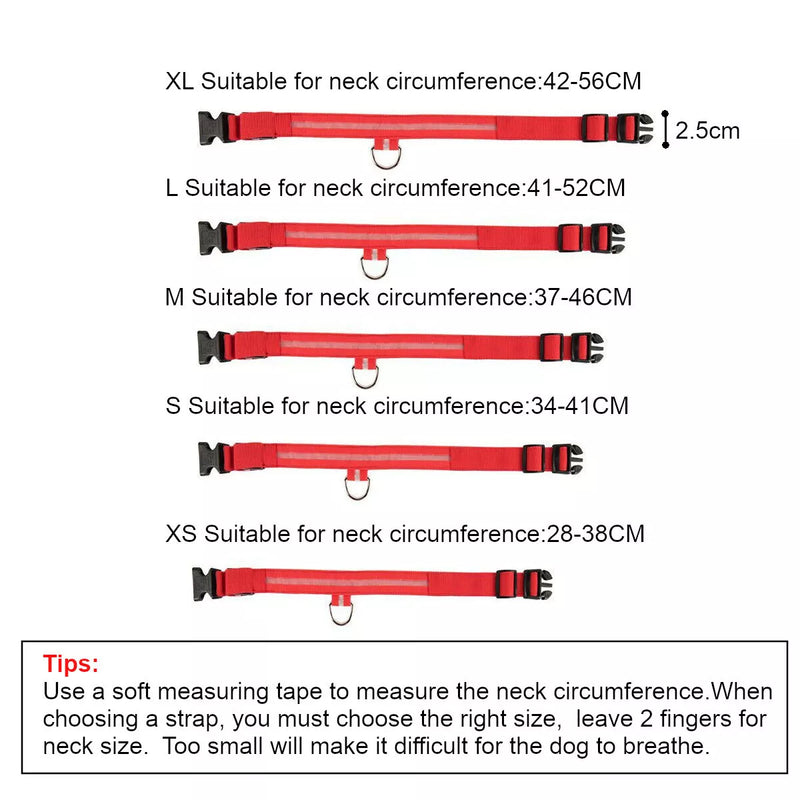 Rechargeable LED Dog Collar